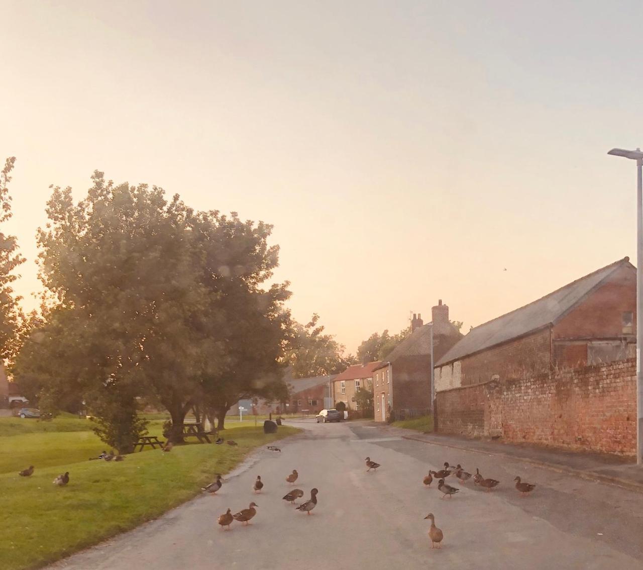Village Barn Conversion Near York Exterior foto